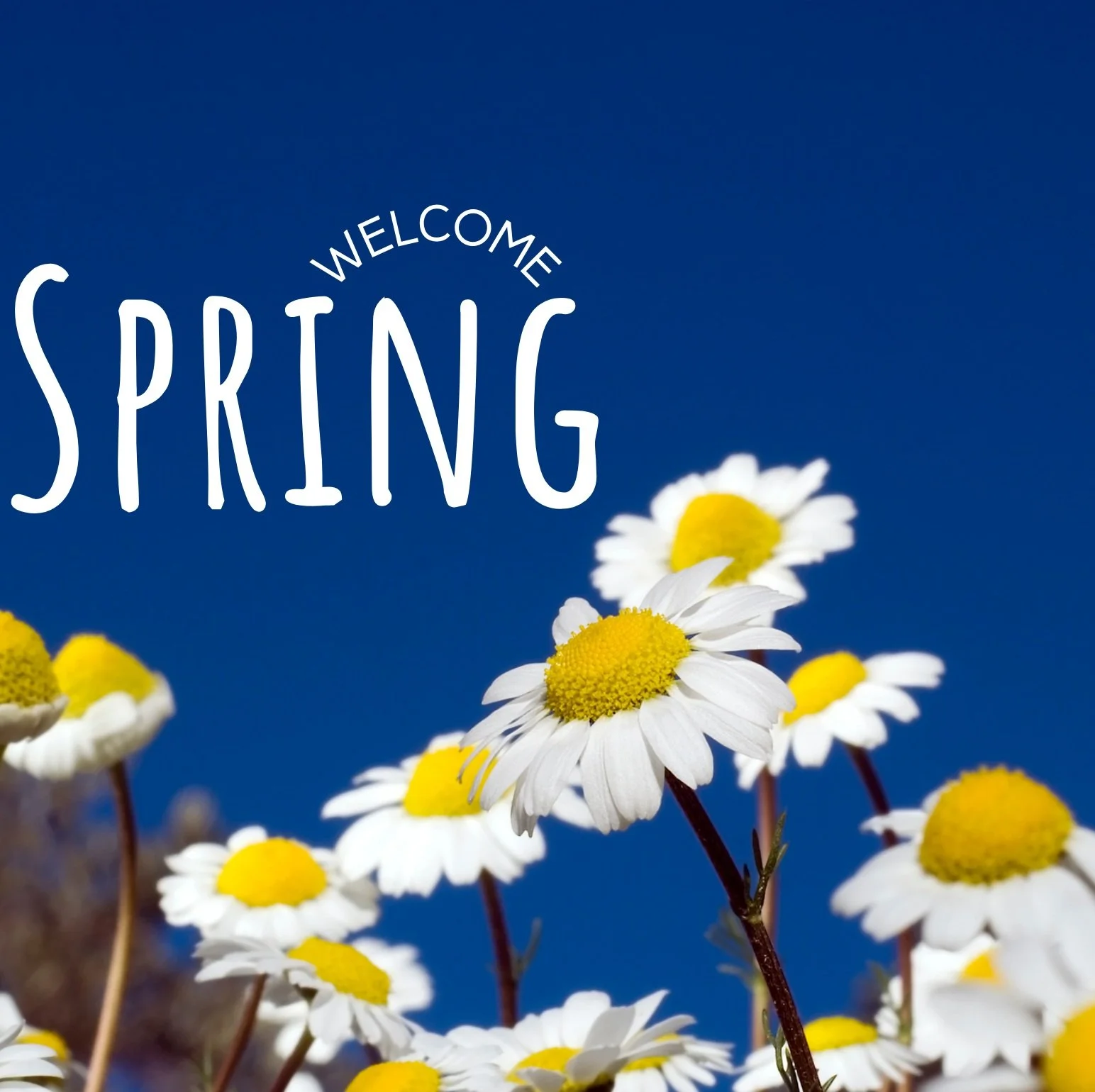Spring Holiday/Good Friday Closure