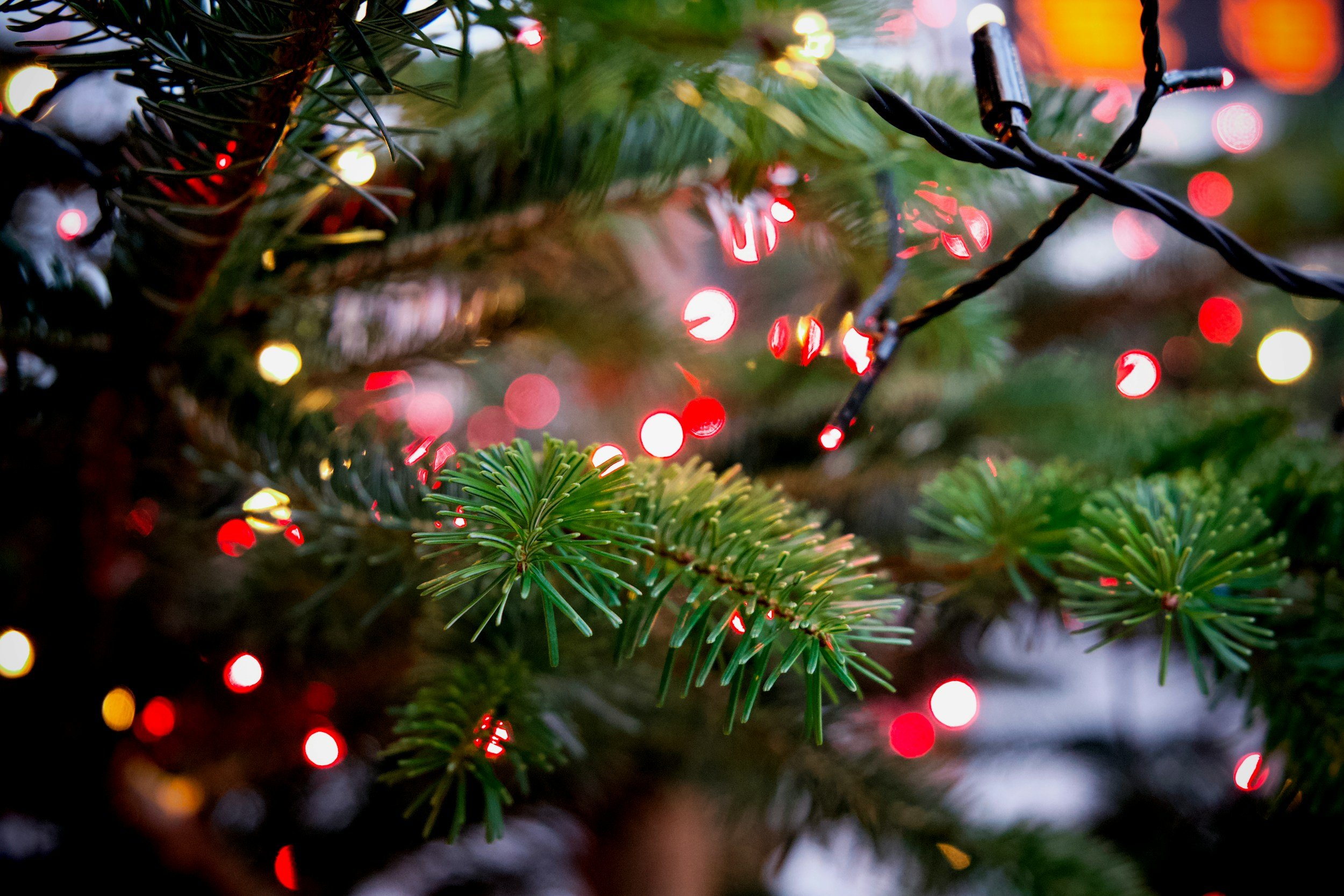 Winter Holiday Closure
