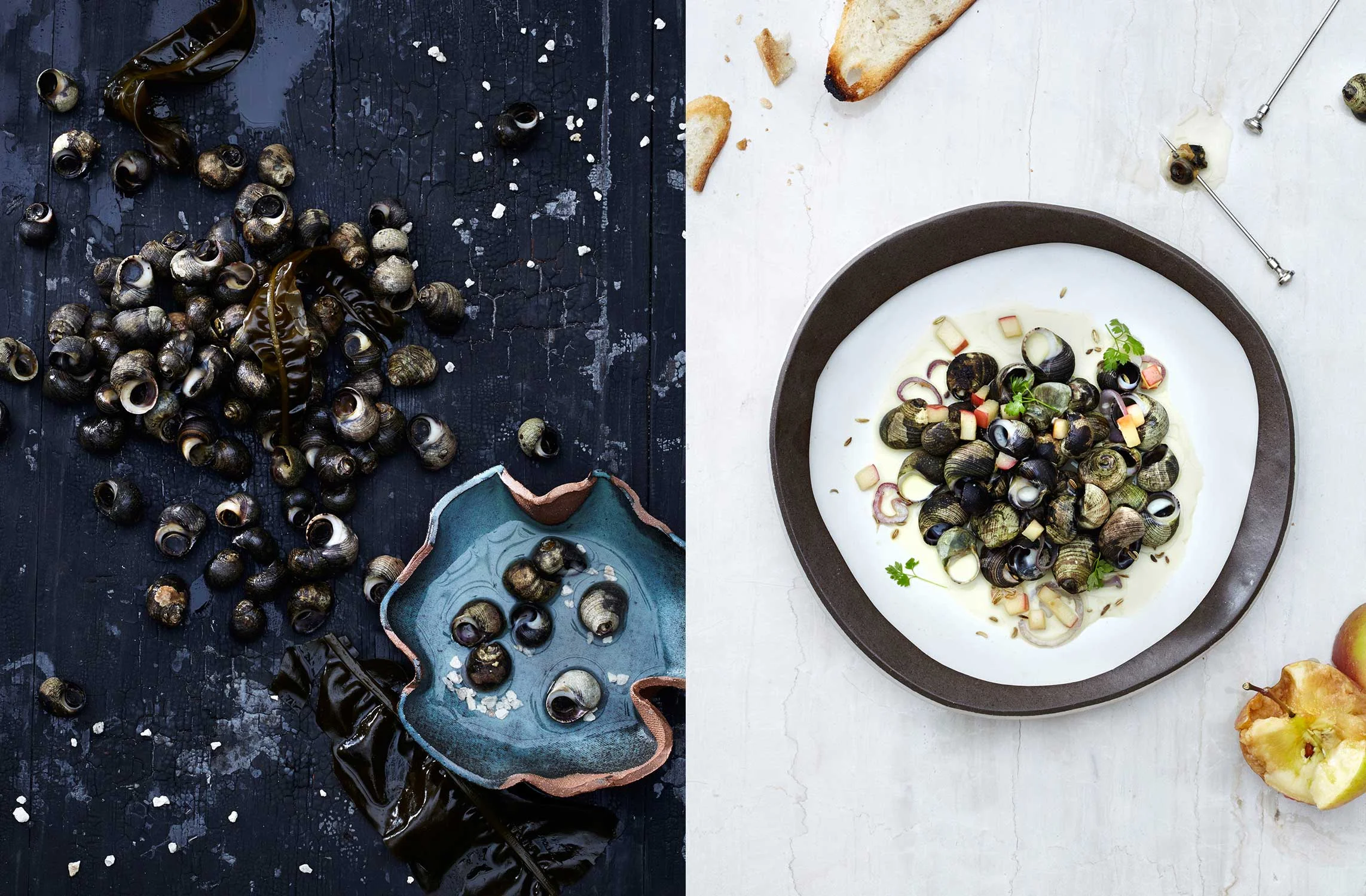 Invasive_snails.jpg