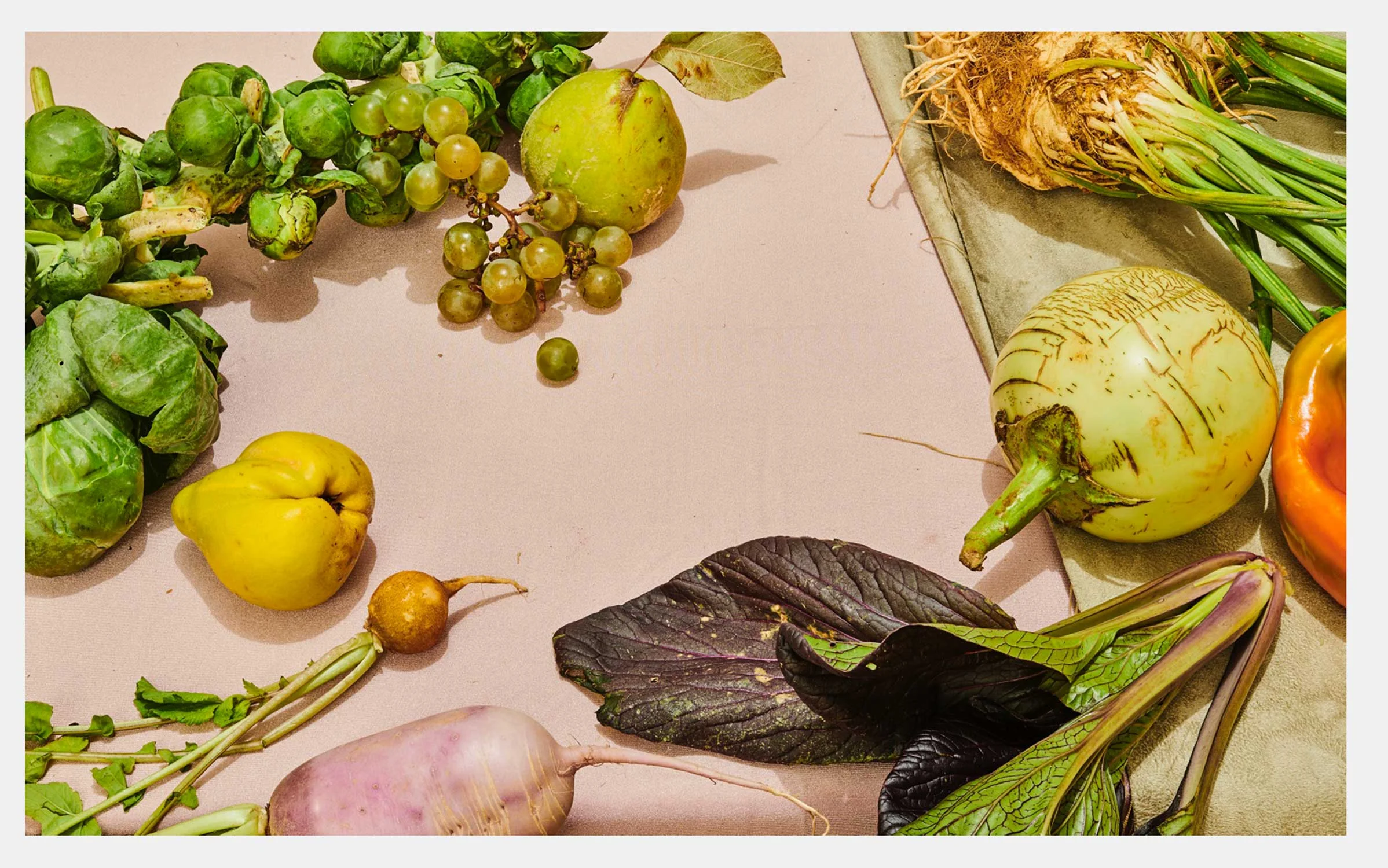 jb_farmersmarket.jpg