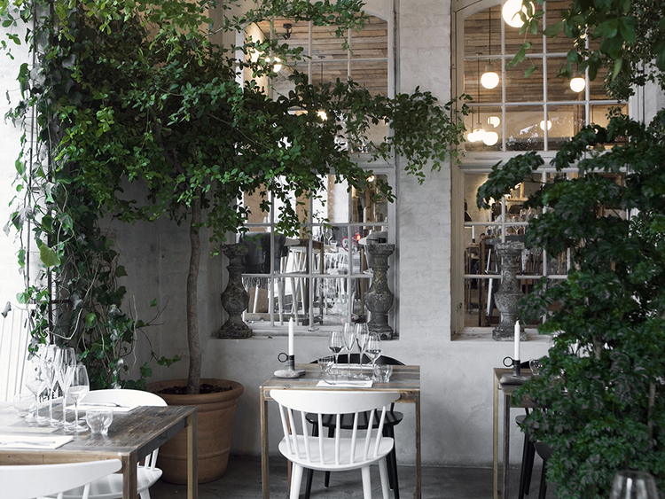 A culinary trip around the world
