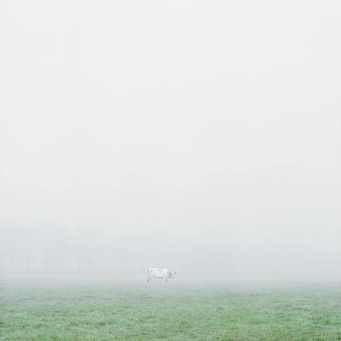 Courtesy BBC Newcastle/Jacky Longstaff