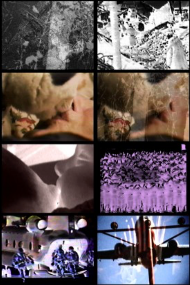 Carolee Schneemann, Devour:Goya , 2006