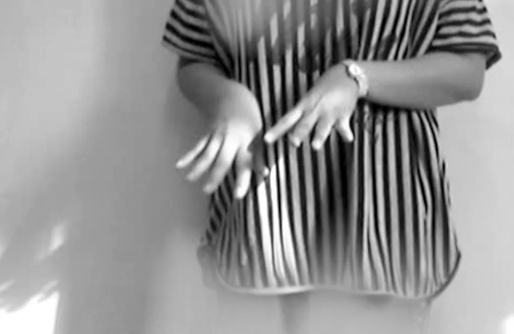 MoMA PS1: Between 0 and 1: Remixing Gender, Technology and Music