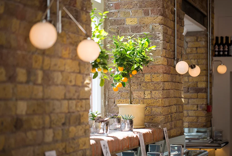 Andy-Martin-Architecture-Barrafina-Drury-lane-3.jpg