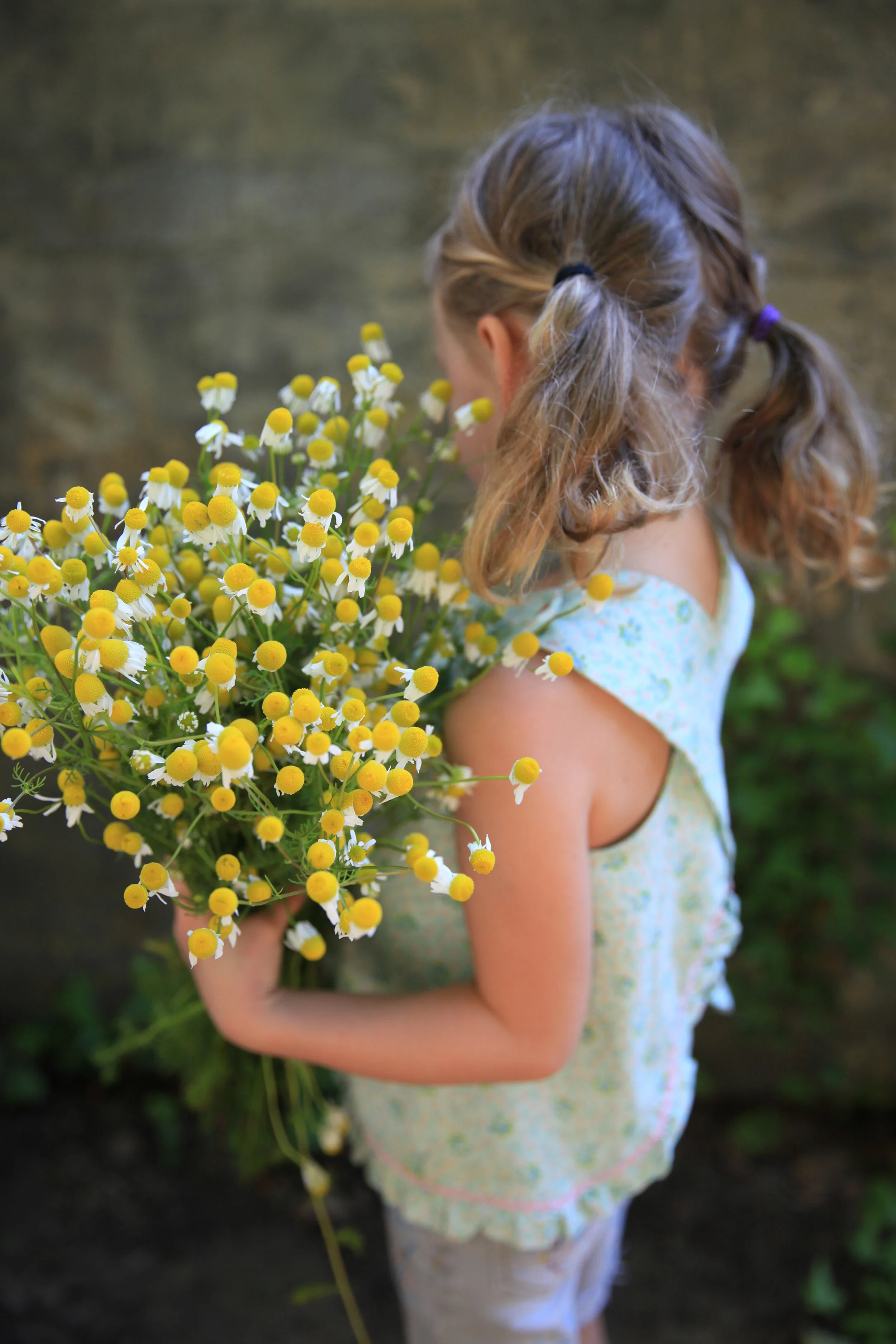 eloise with chamomile-4.jpg