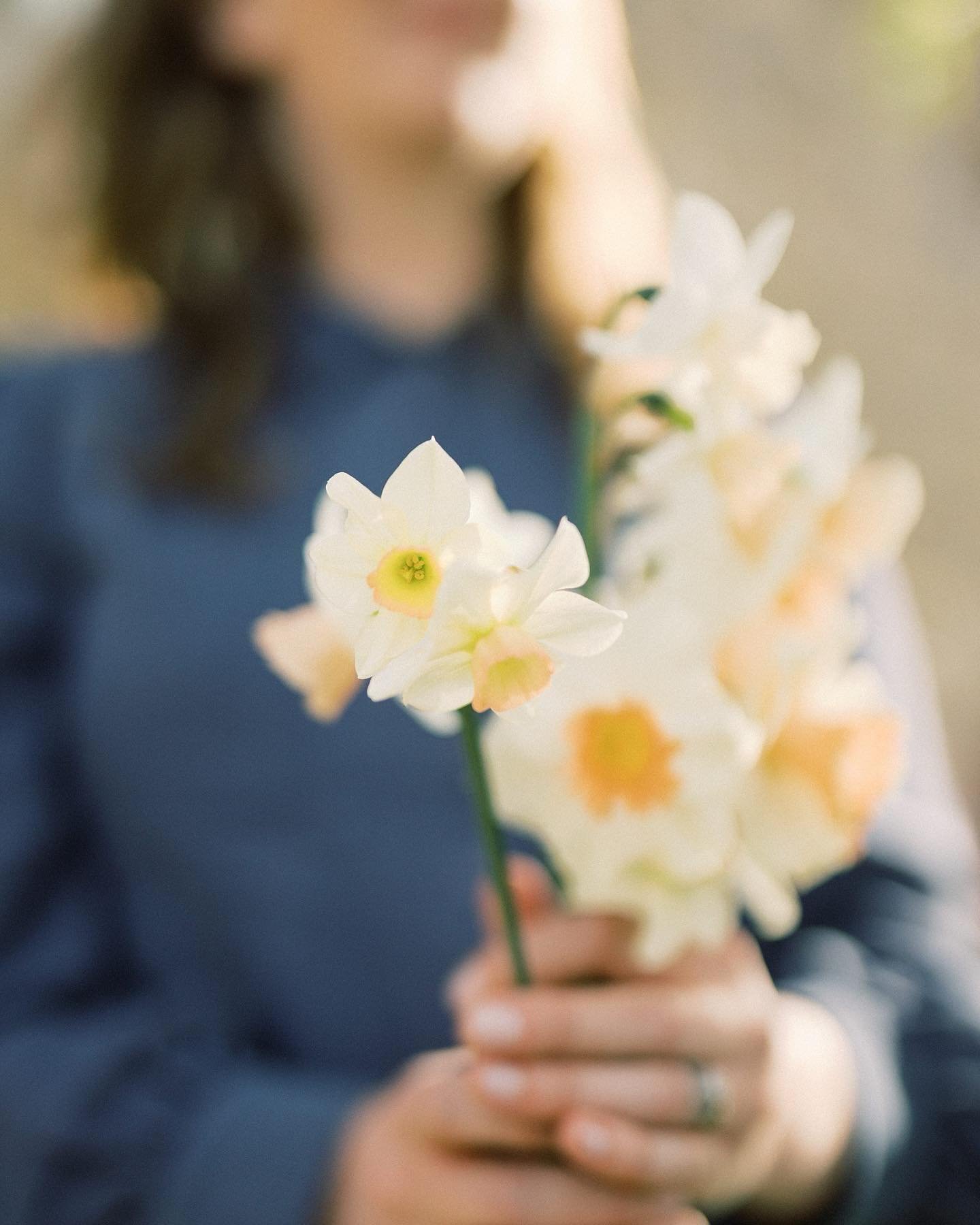 Who&rsquo;s joining us next Saturday for flowers in the greenhouse?! Sign up online!! So many beautiful flowers are coming for you and we&rsquo;ll make a perfect arrangement for your Easter table. ☀️