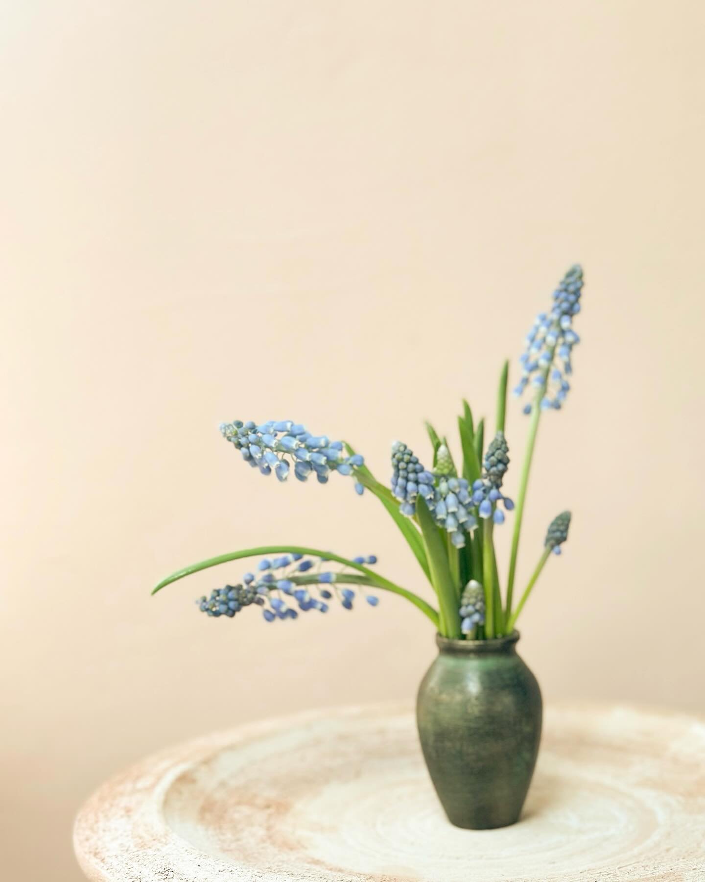 Tiny bronze vases for tiny garden treasures. @campodefioriusa