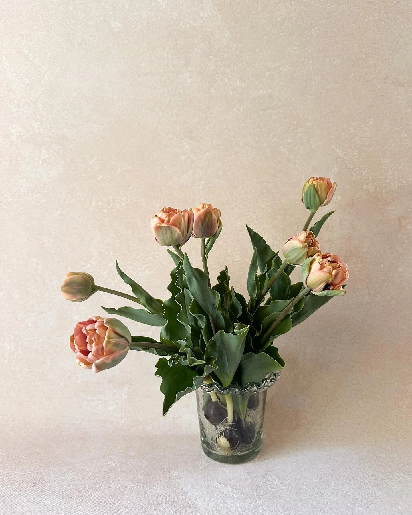 Never seen such ruffly tulip leaves and I love them in this ruffly vase! Ruffles on ruffles.