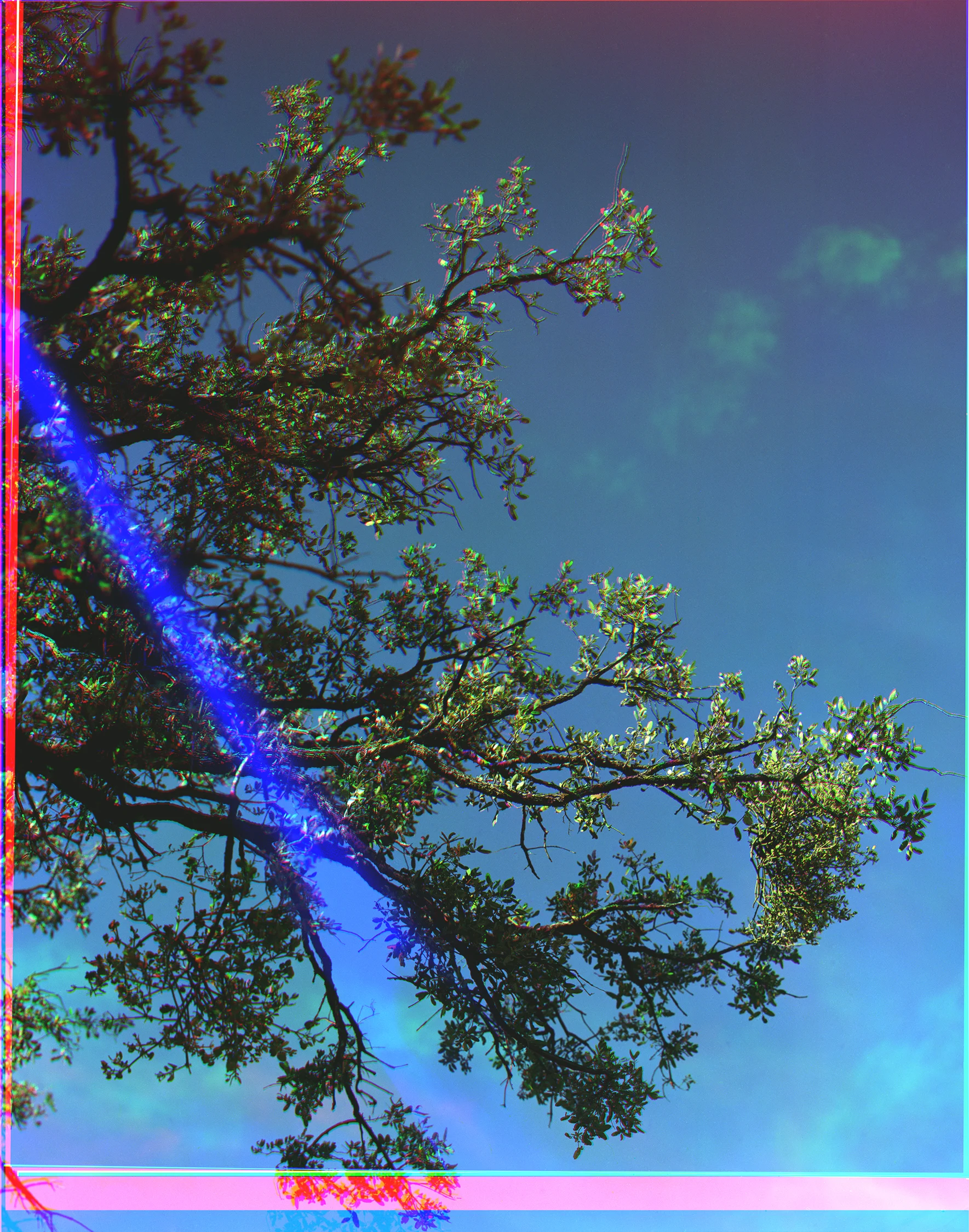 Untitled-1.jpg