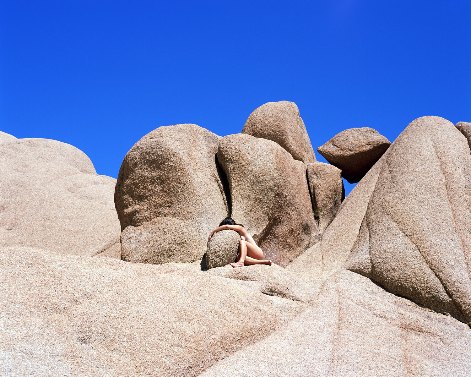 Joshua Tree Print 1.jpg