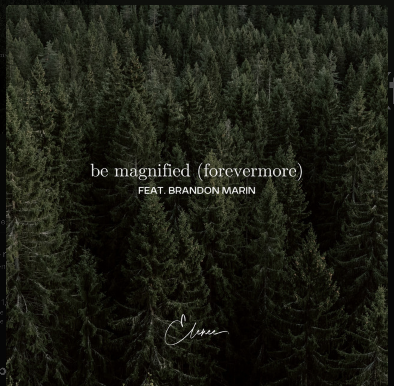 Be Magnified Elenee and Brandon.png