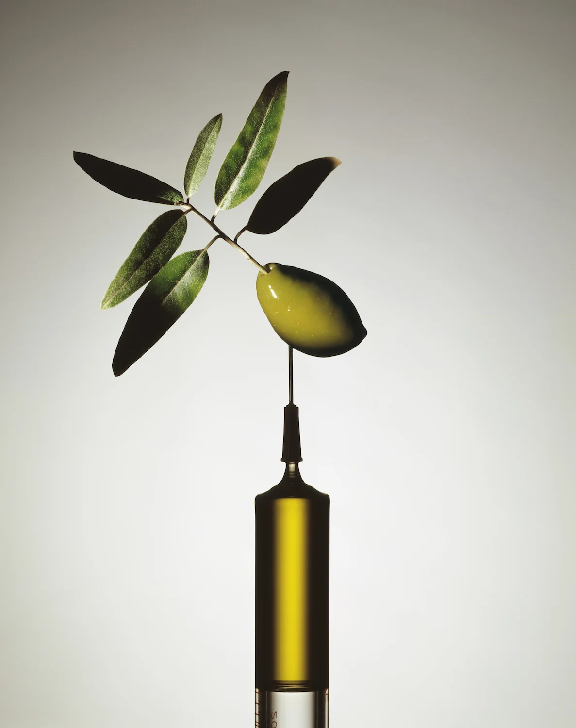 OLIVE OIL ADDICTION