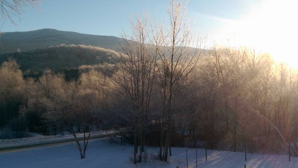 Making sap while the sun shines!