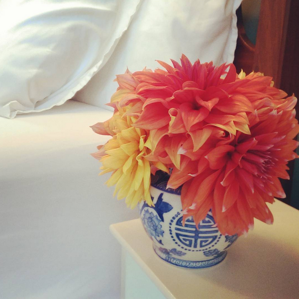 Dahlias, adorning the bedside table of the Blue Spruce Room