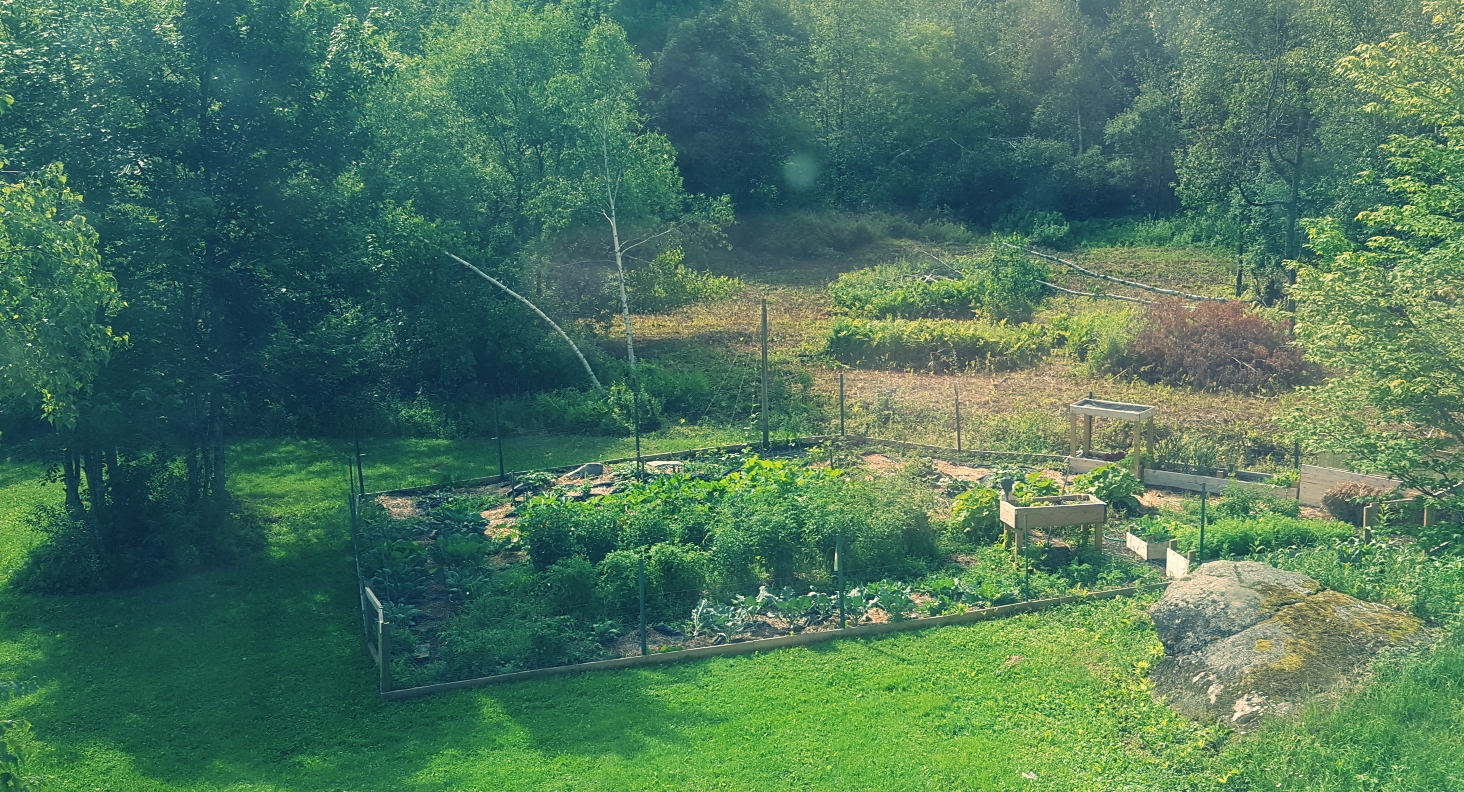Making some progress, with long sunny days and occasional rainfall.
