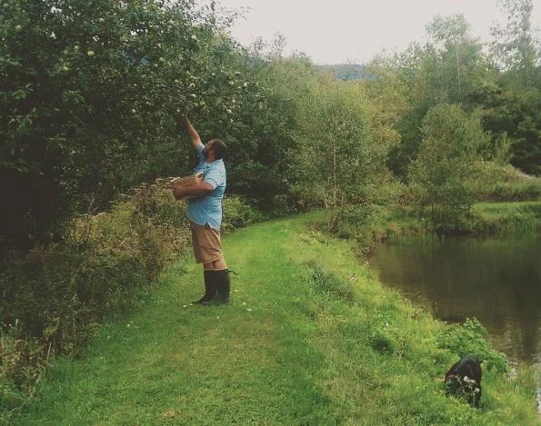 Luke and Stout, picking apples along the dam.