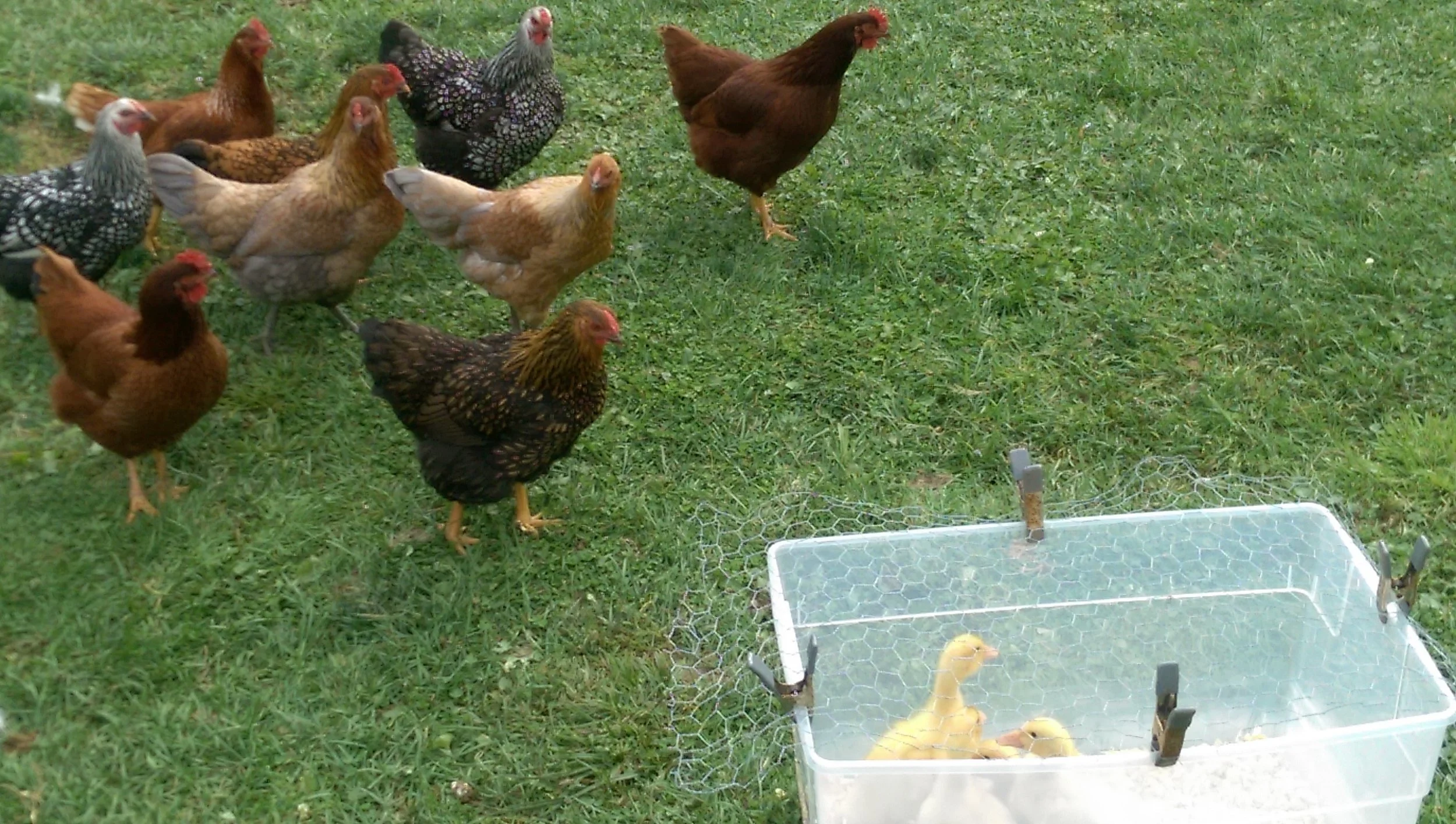 Taking a field trip to meet the neighbors!