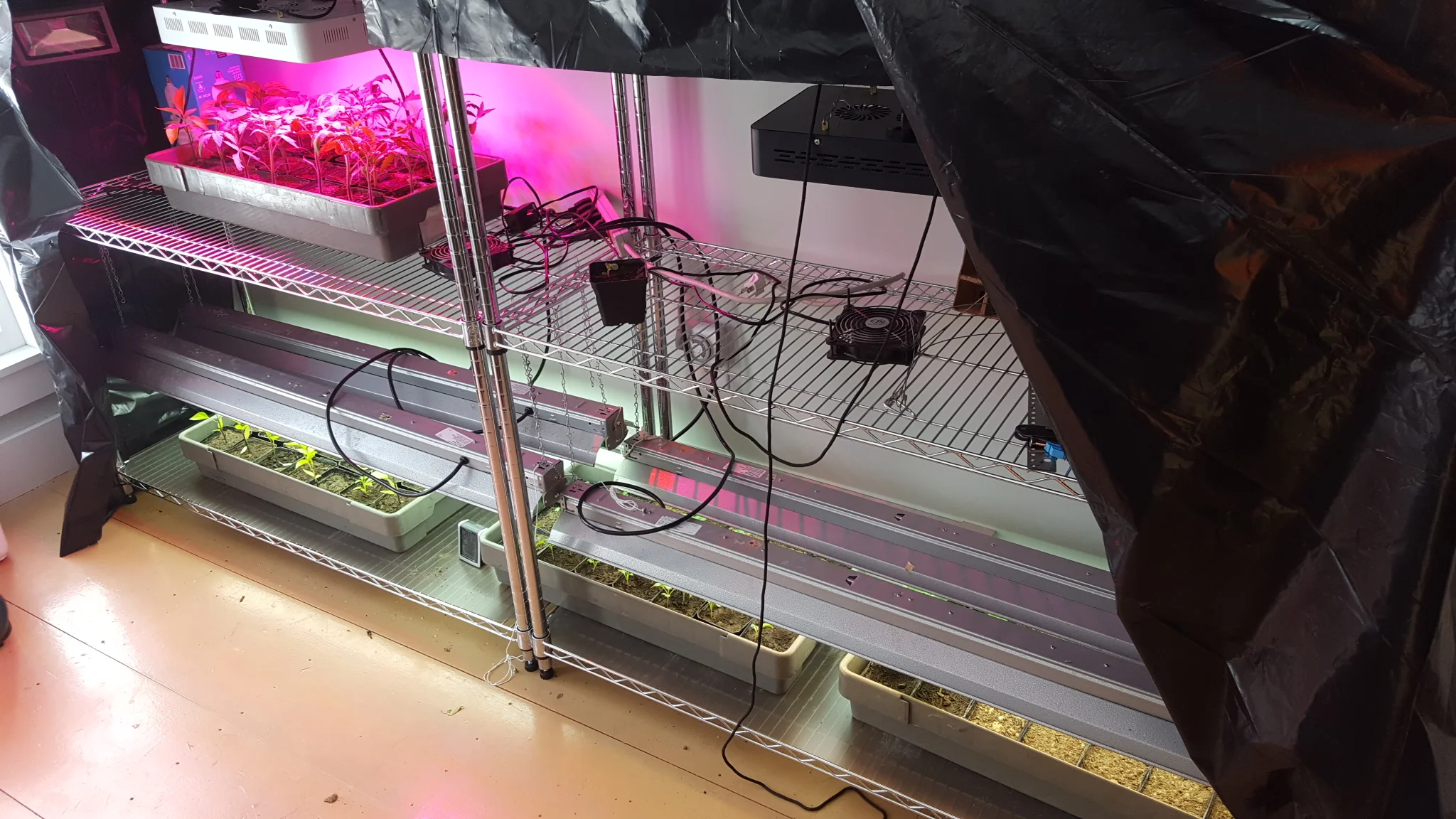 Indoor seed starter station
