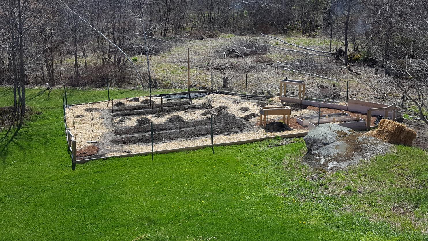 Example of early preparation of the garden, at the start of the growing season 2016