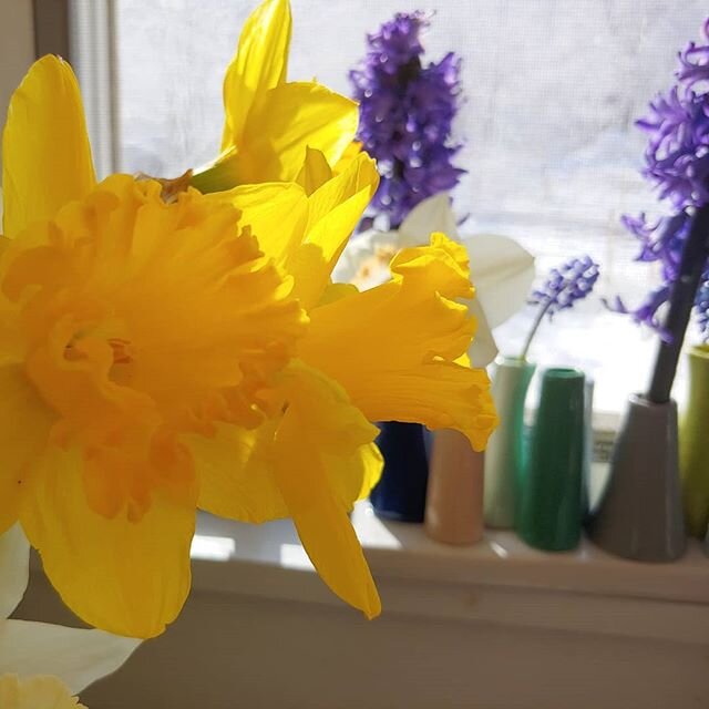Finding joy in simple gifts. Blooms from our garden. Bright sunshine. Fresh snow. The warmth of our kitchen. Sharing community with friends and guests, through this channel.