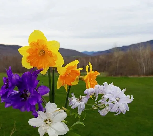 Pop! Of Color! 
Happy Friday - we think?!