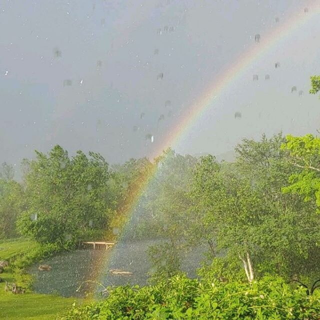 Yesterday, we were surprised to find a double rainbow in the front yard! 🌈 Happy Pride month! 🌈 #loveislove #unitedwestand