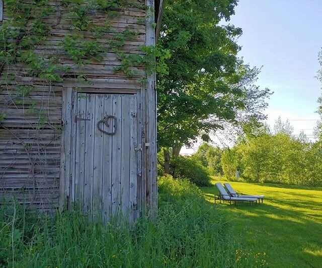 Summer is in full swing. Don't forget to slow down and notice the little things! ✨