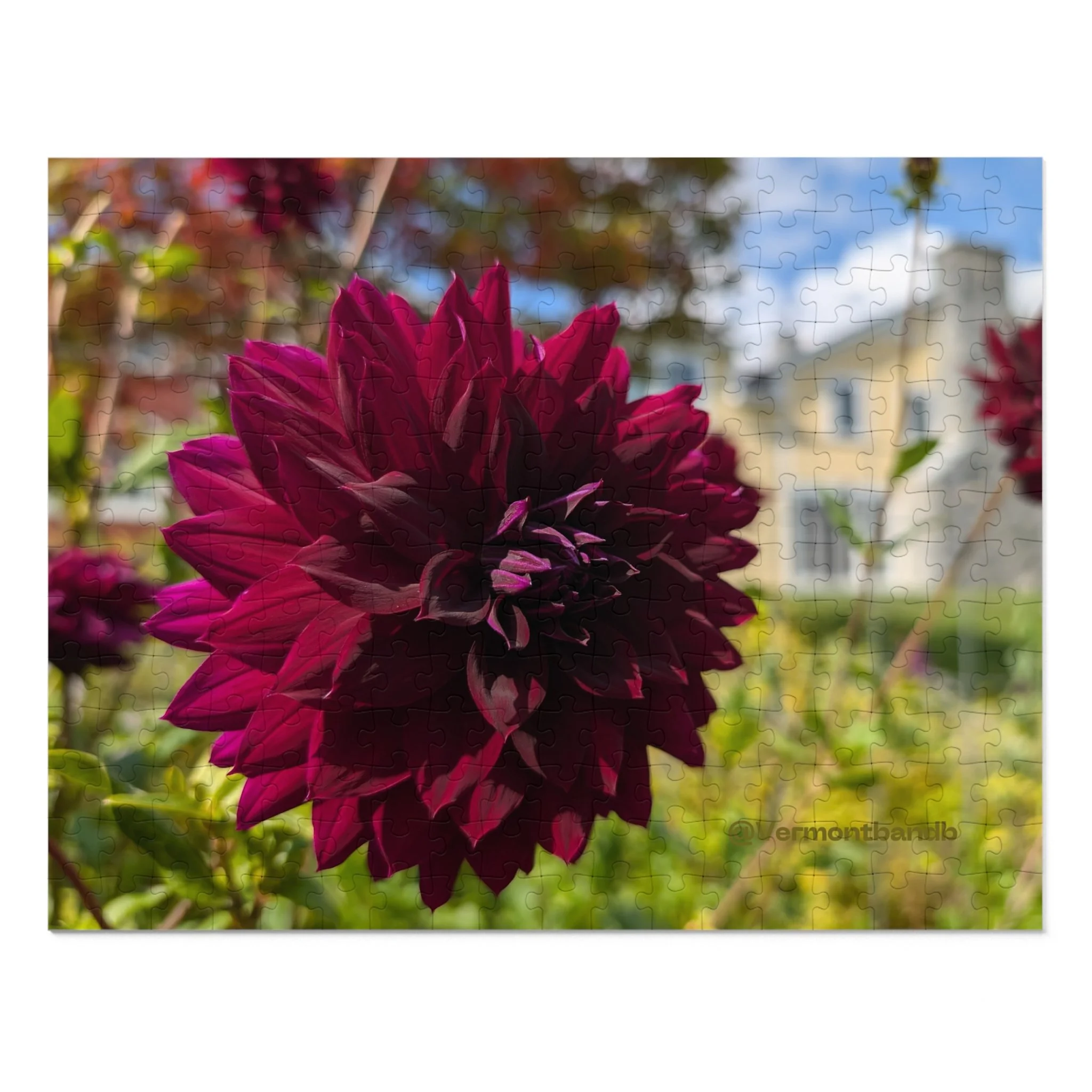 7ceb89f7ed9d5a22664570e2d33e5e23