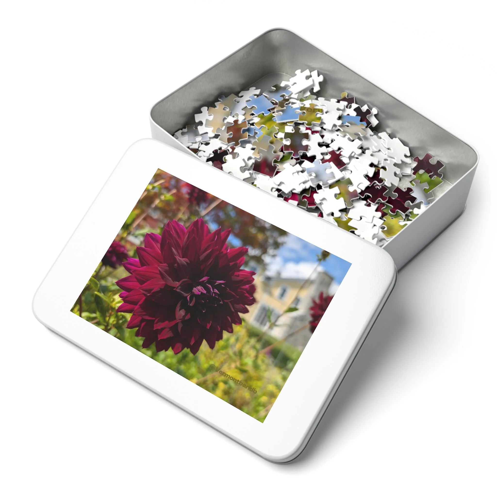 1ea5d29db37a98de4cf00c97a84de254