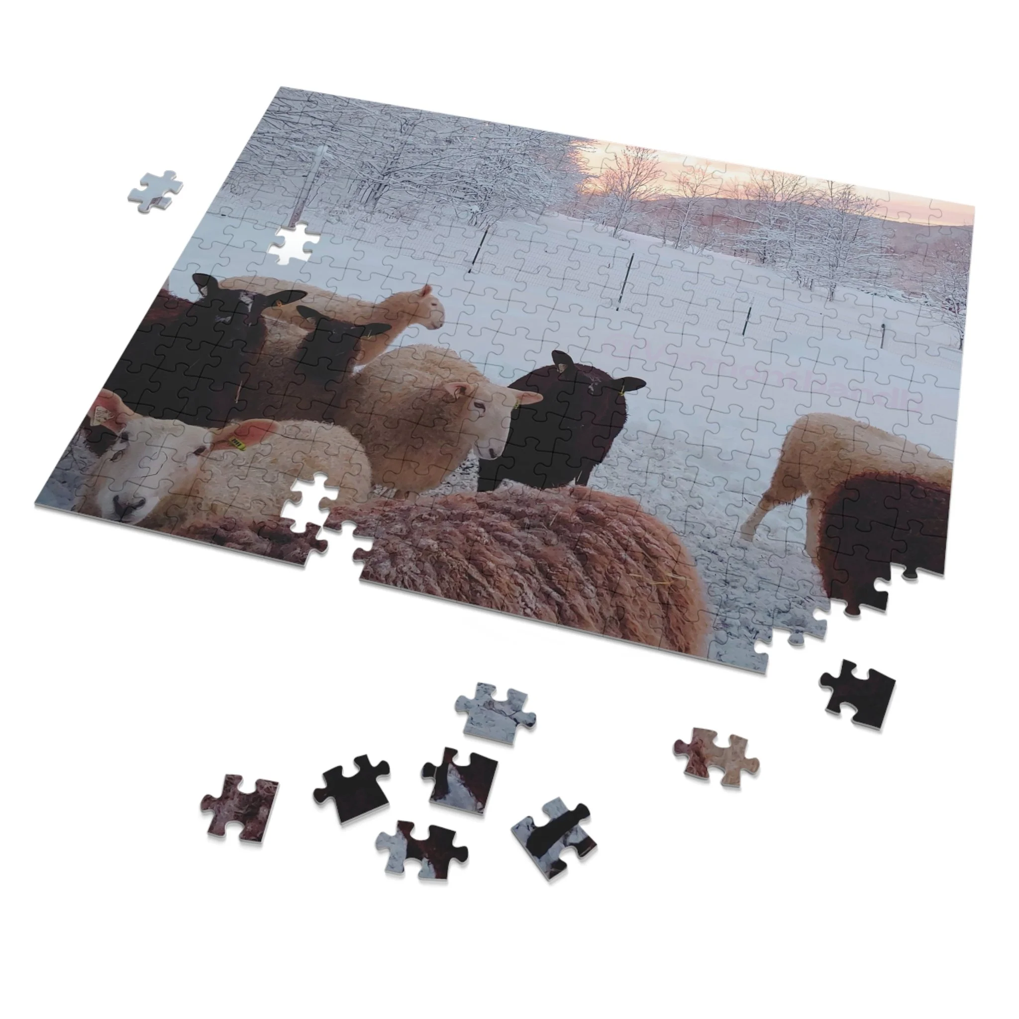 57817817cbbf6155e0fa20acb394aaa7