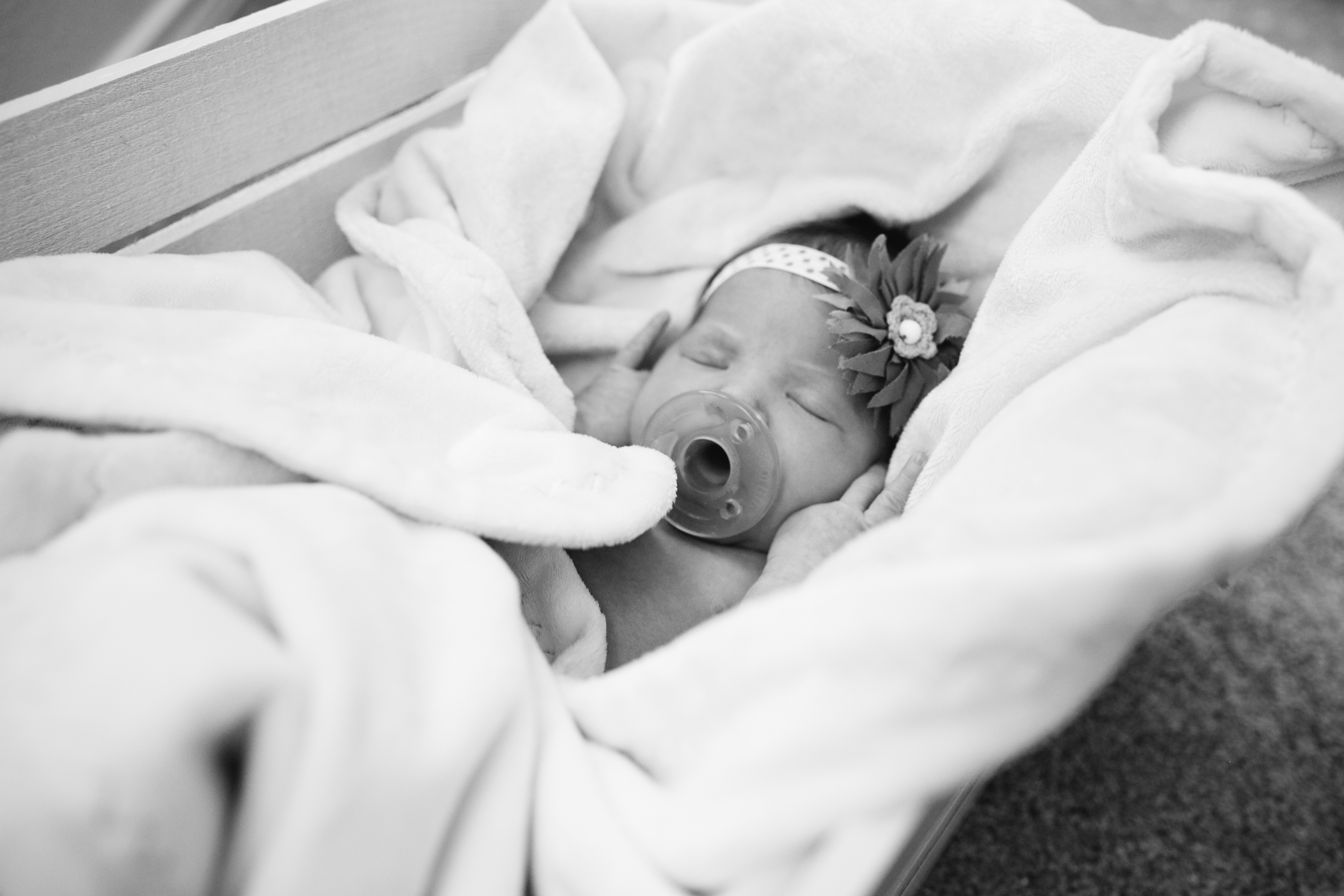 Lyla Newborn-10.JPG