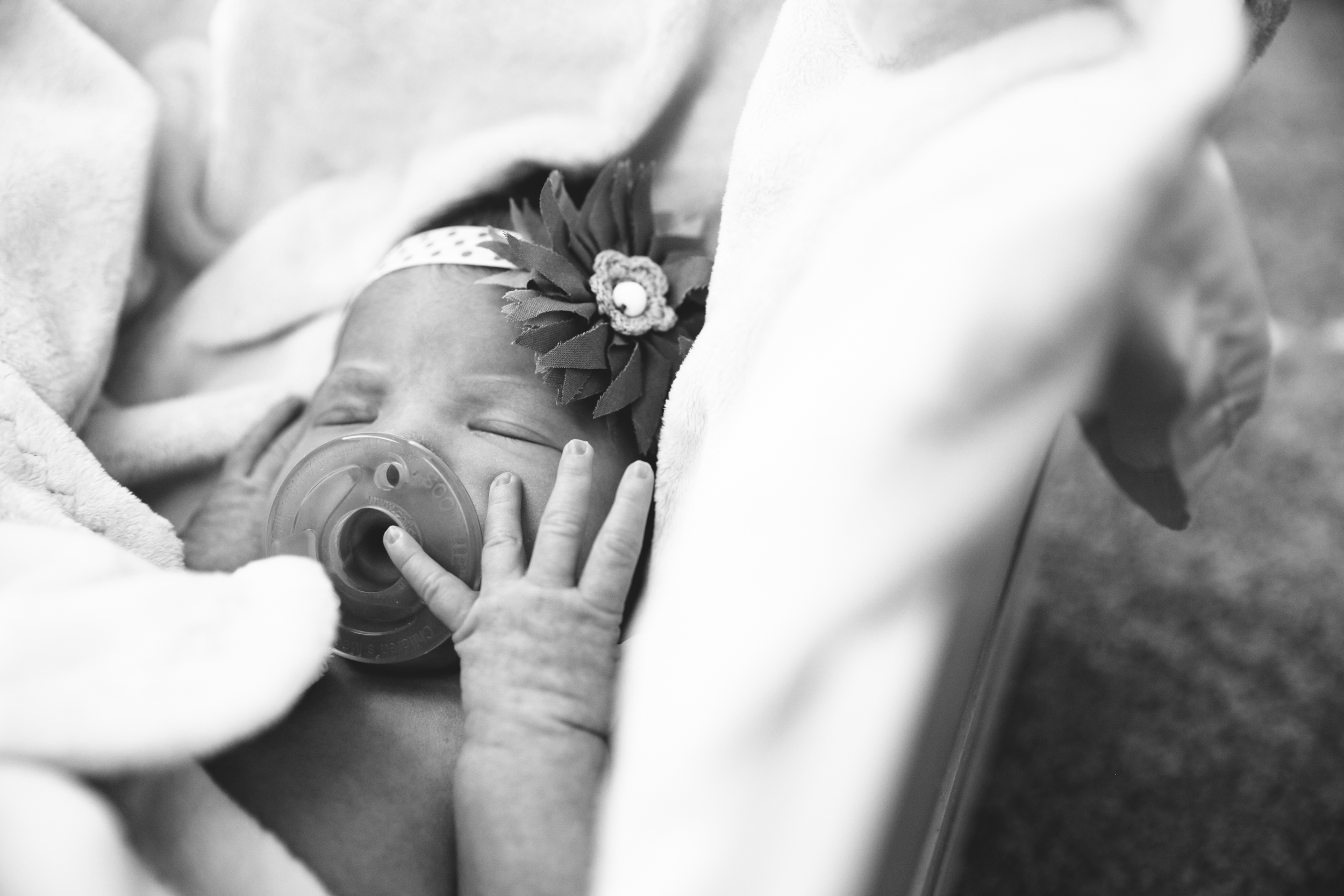 Lyla Newborn-18.JPG