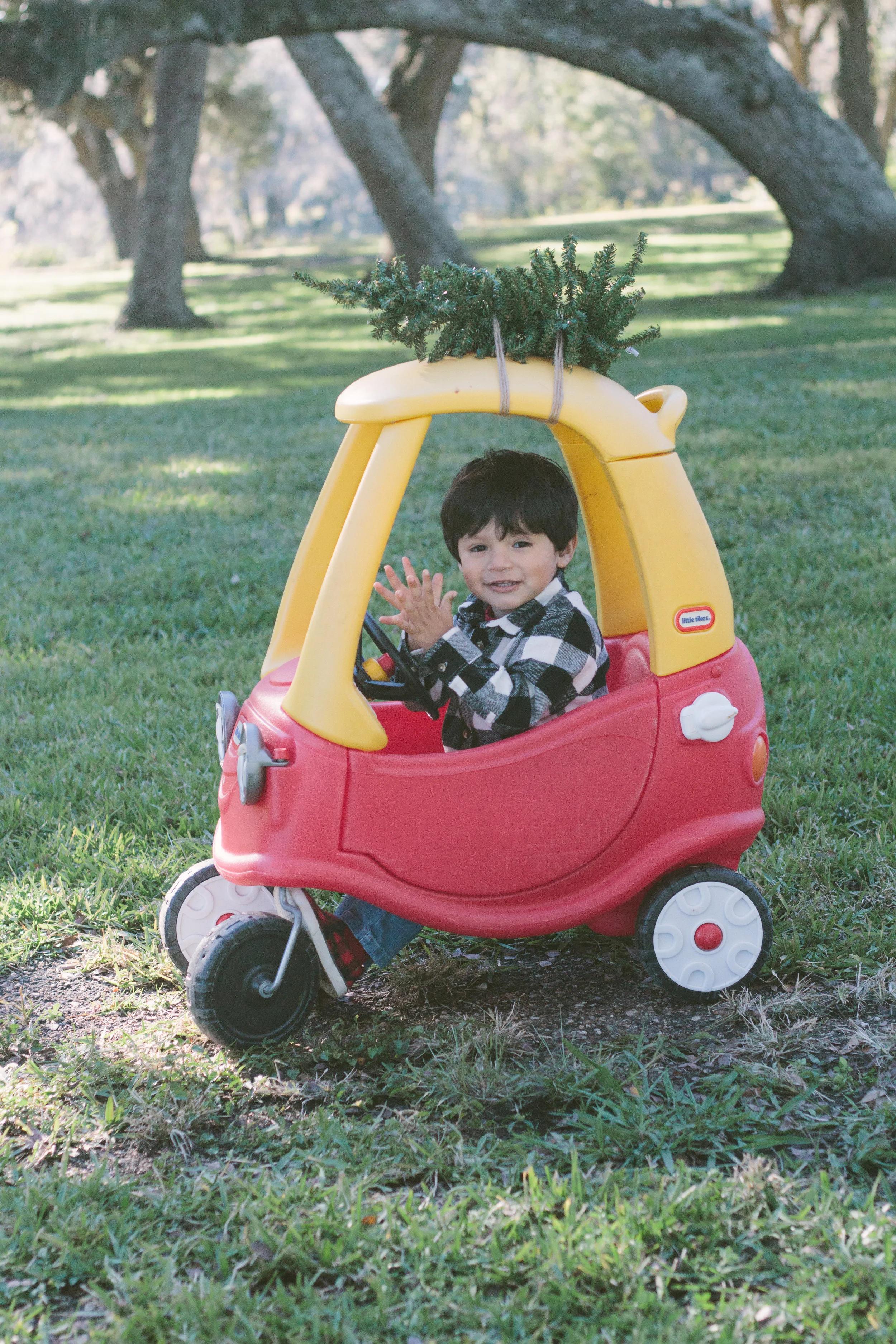 Martinez Christmas 2018-33.jpg