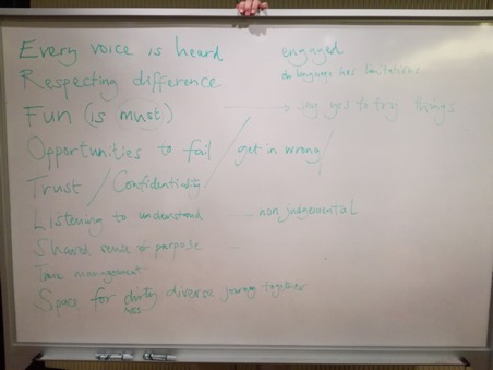 Image of the designed alliance that we made as a group.