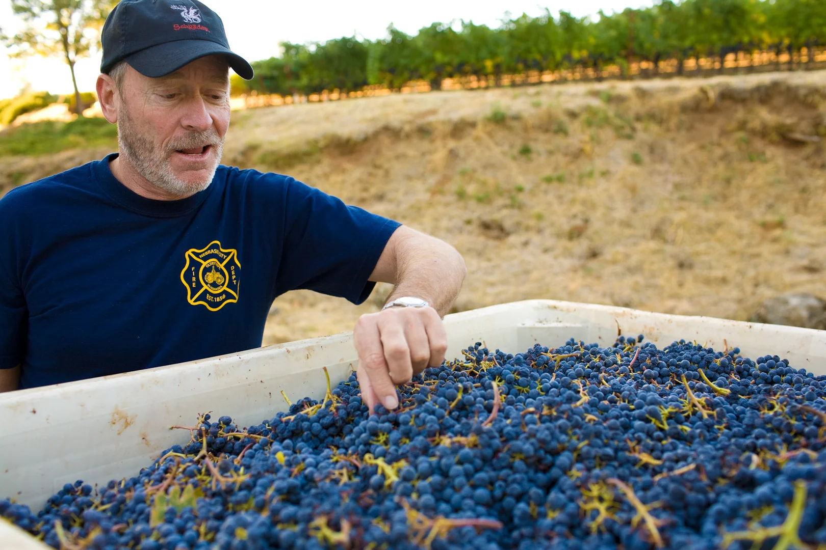 Vino_(5_of_55).jpg