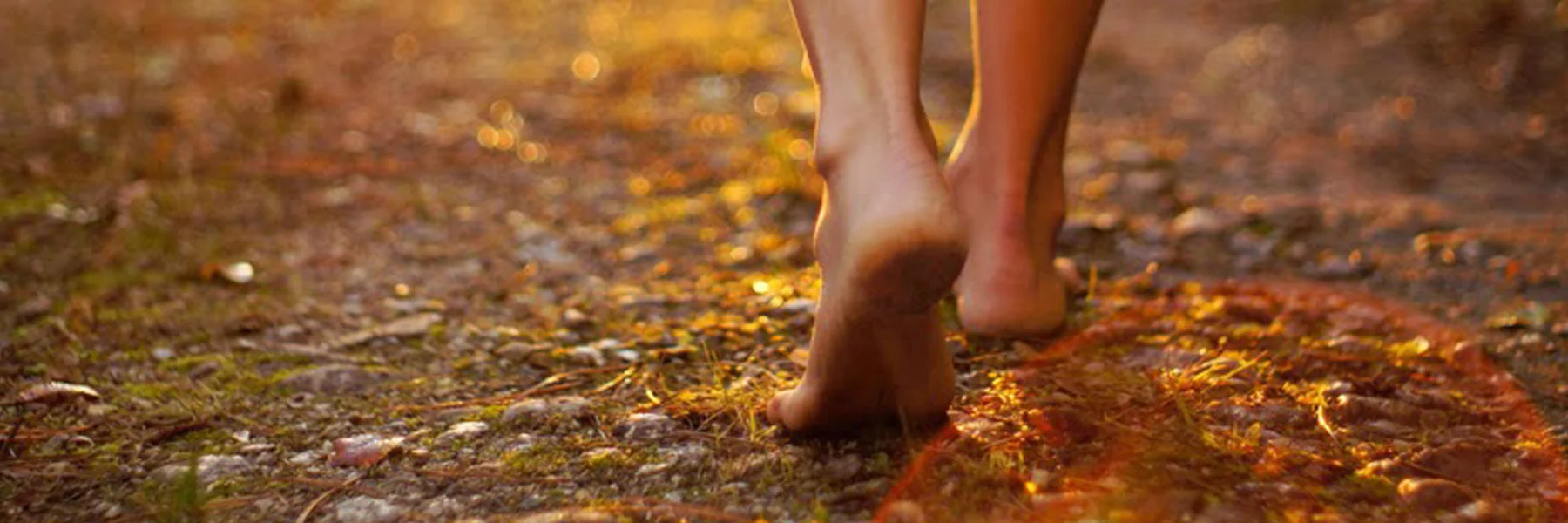 Ponderings About Wanderings