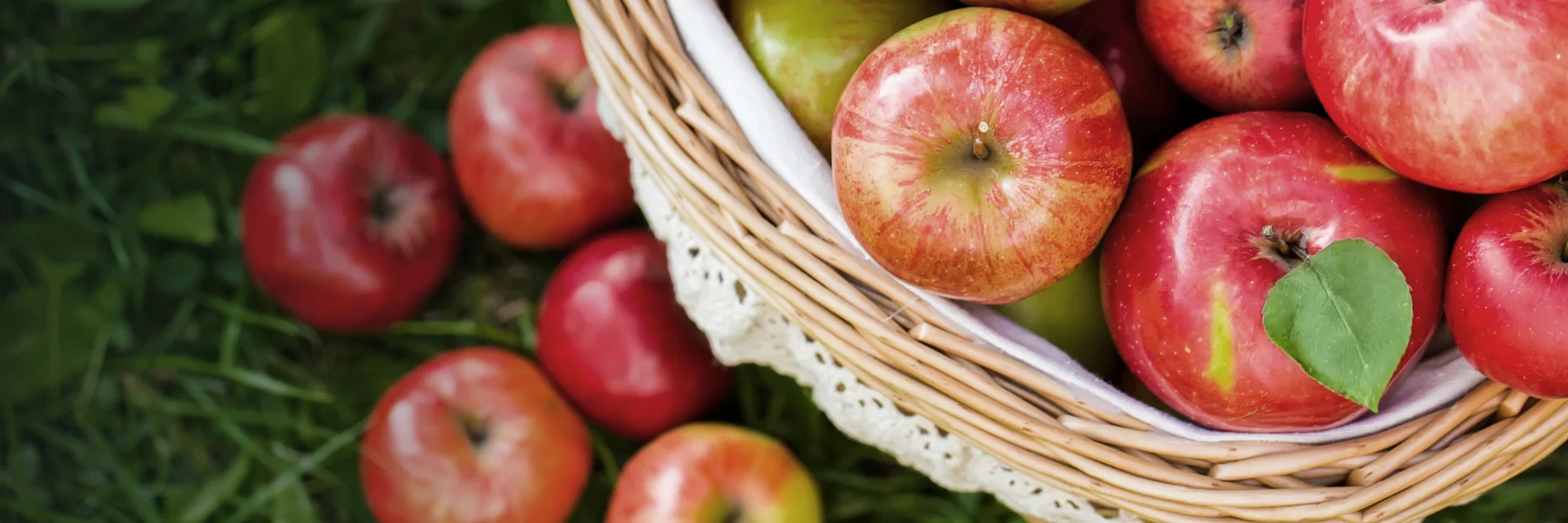 Friendship Pt. 1: #PickerProbs