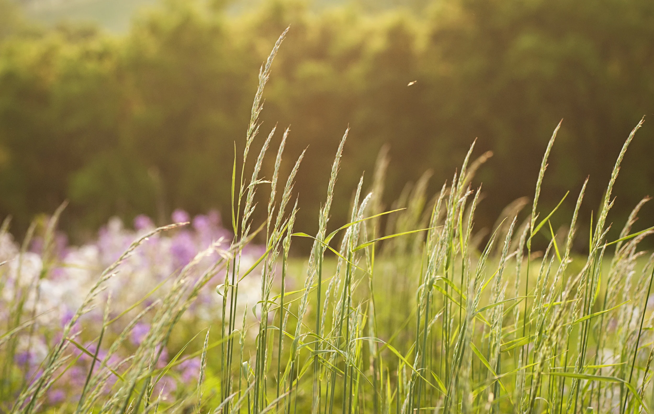 Making Monsters Human Again