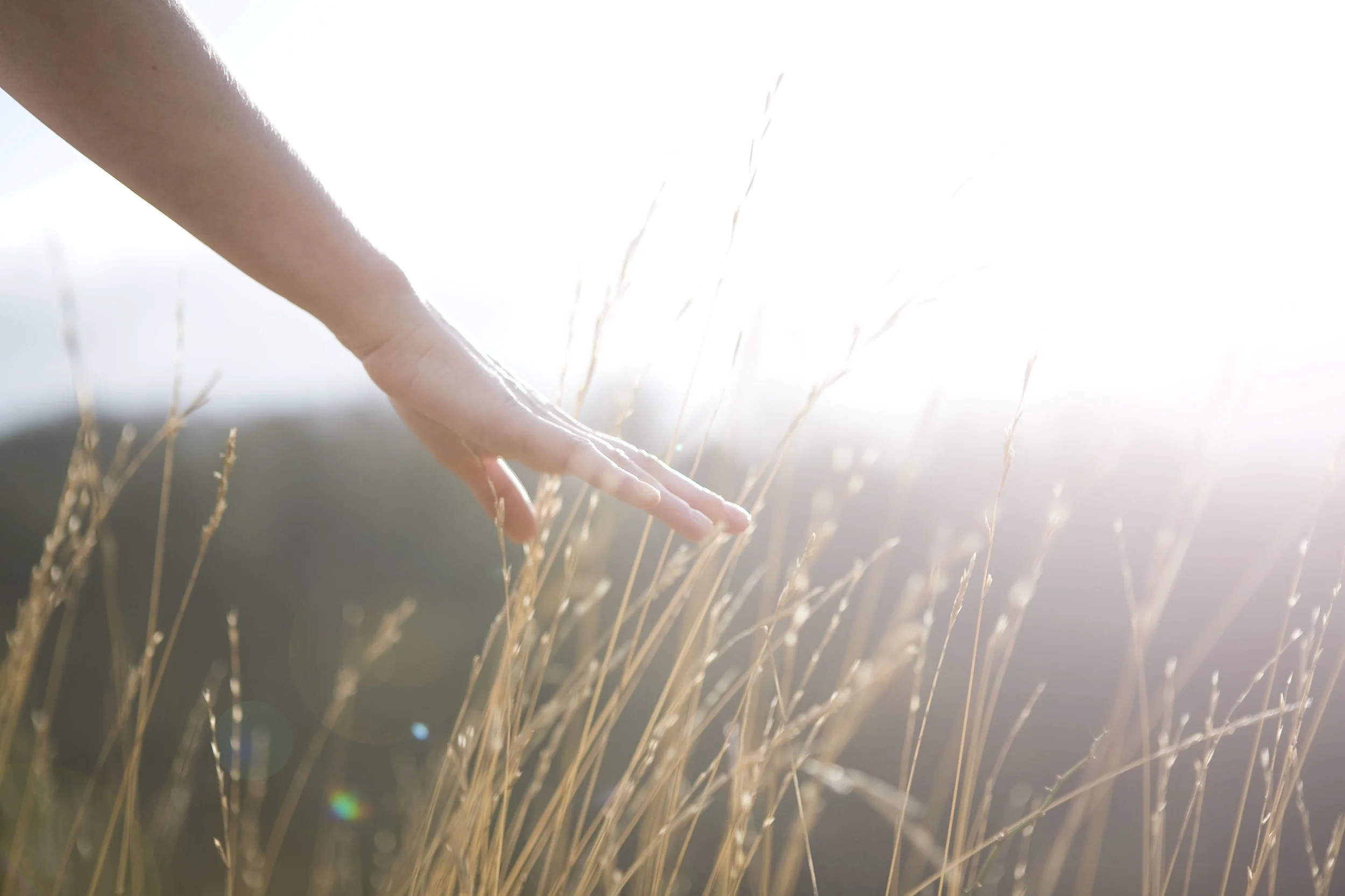 My Break Up Letter With 2015