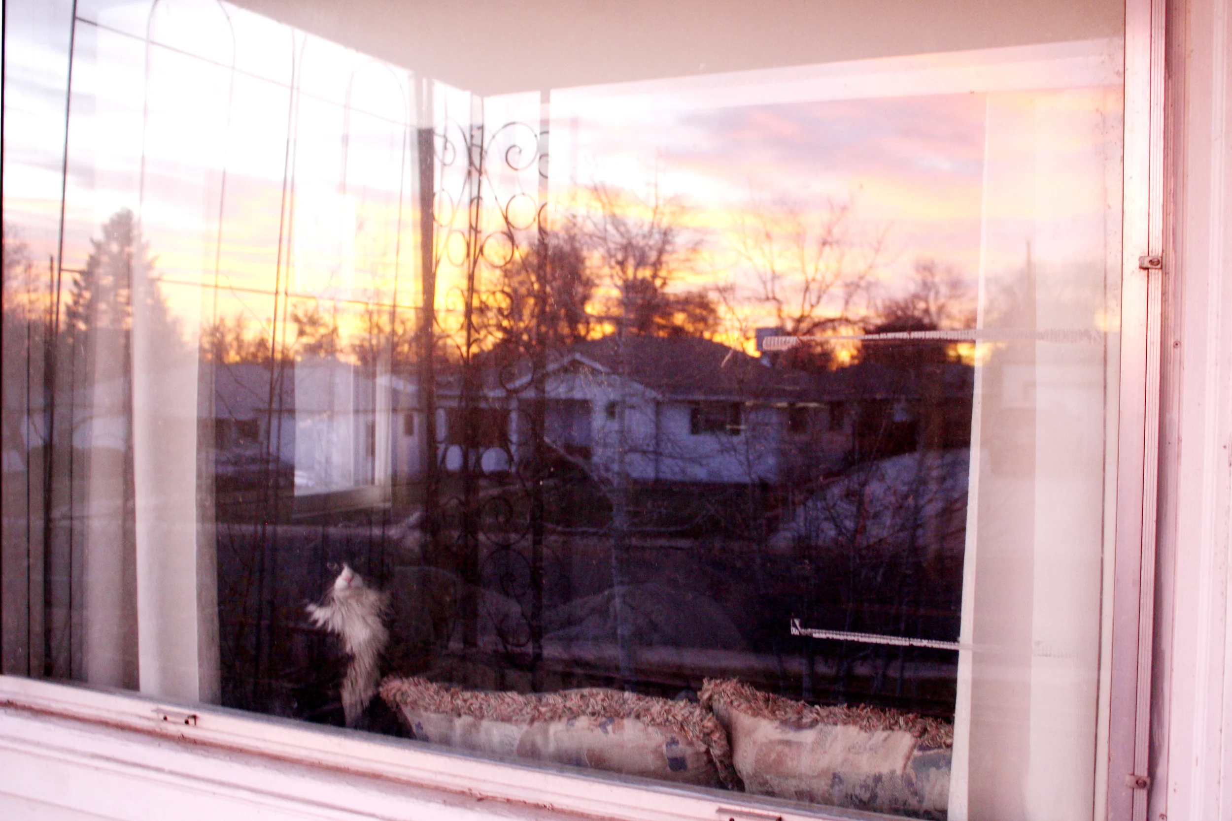 Today CAN Be the Day