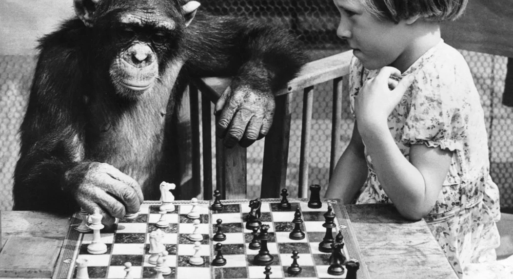 Living Head Over Heels