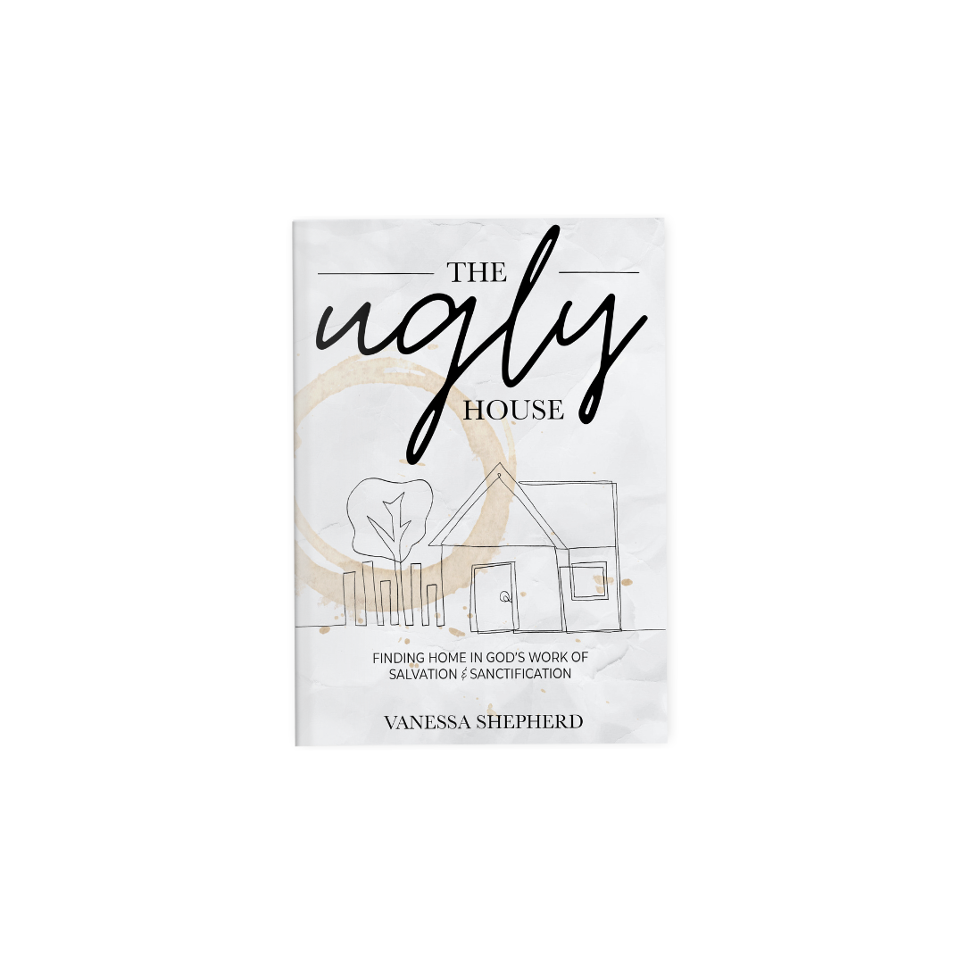"The Ugly House" Book