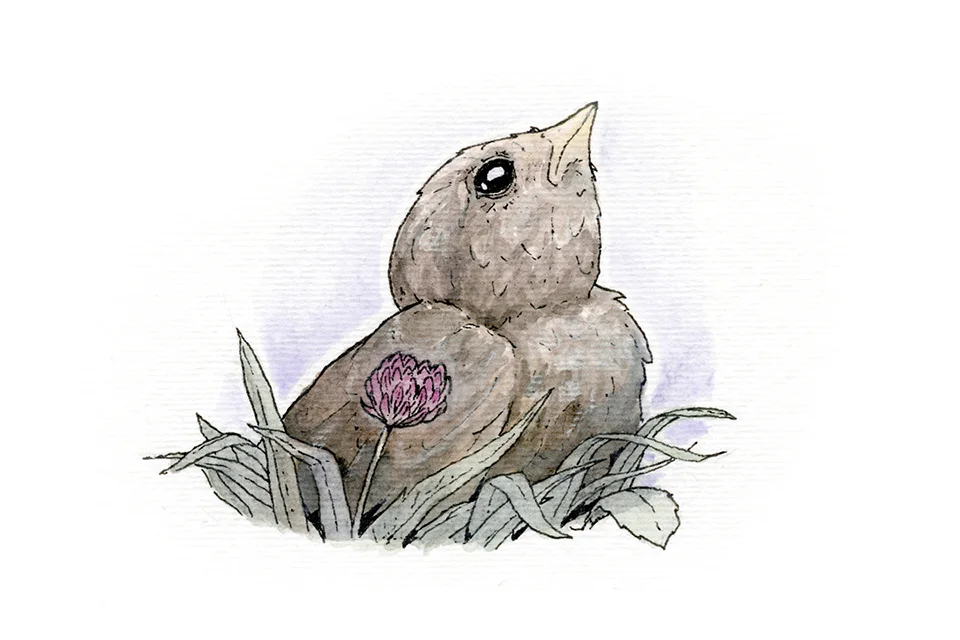 RichS_Illustration2.jpg