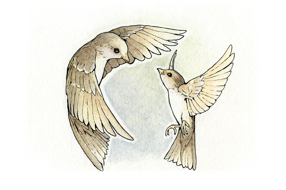 RichS_Illustration3.jpg