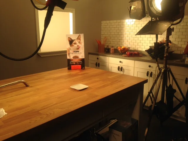 Purina High Speed Moco Shoot