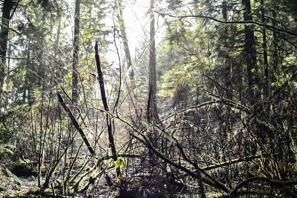 Vancouver, BC