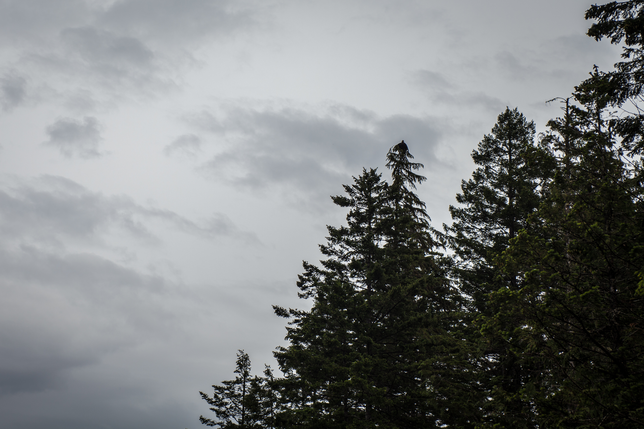 KA_20160608_178.jpg