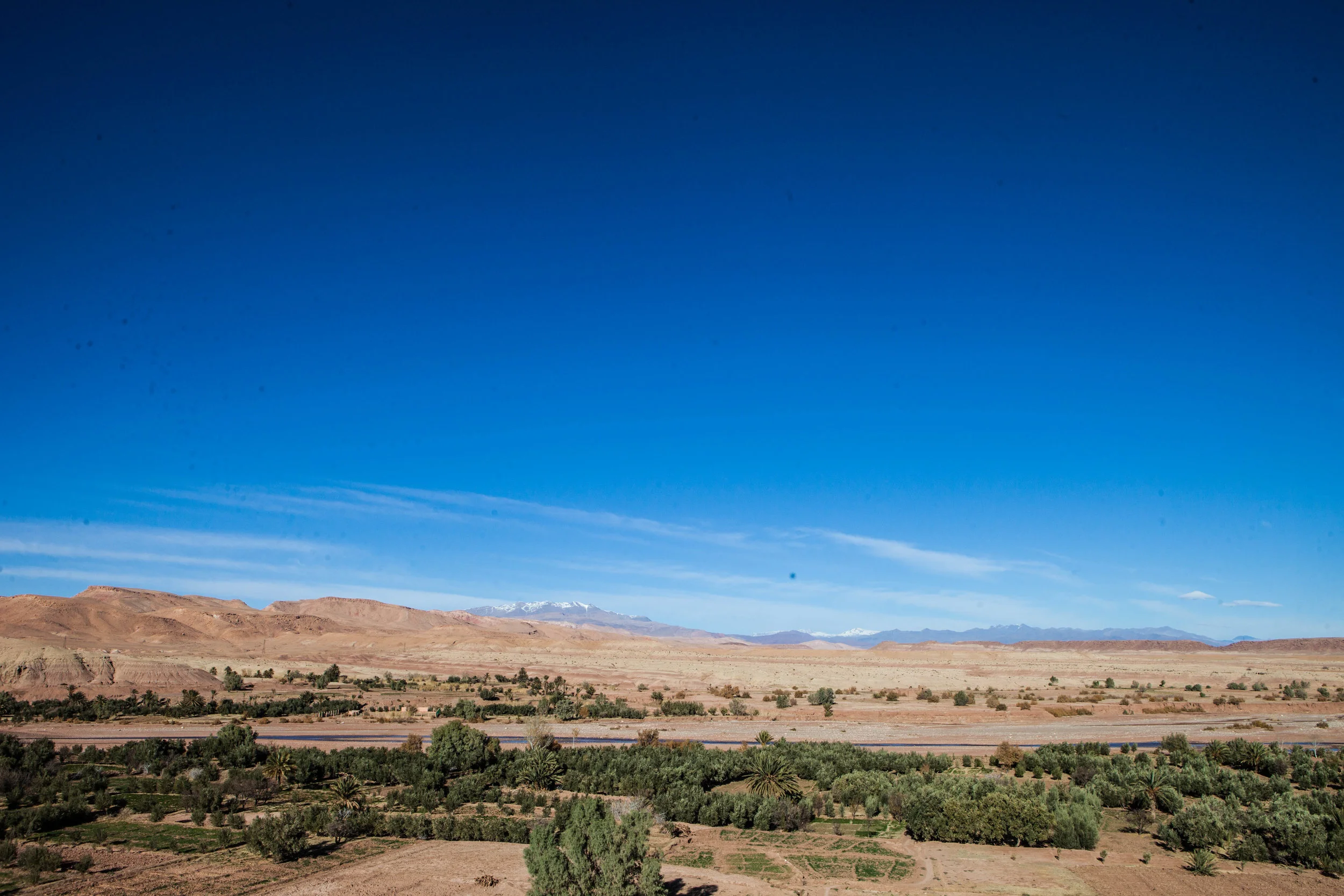 _MG_9347.jpg
