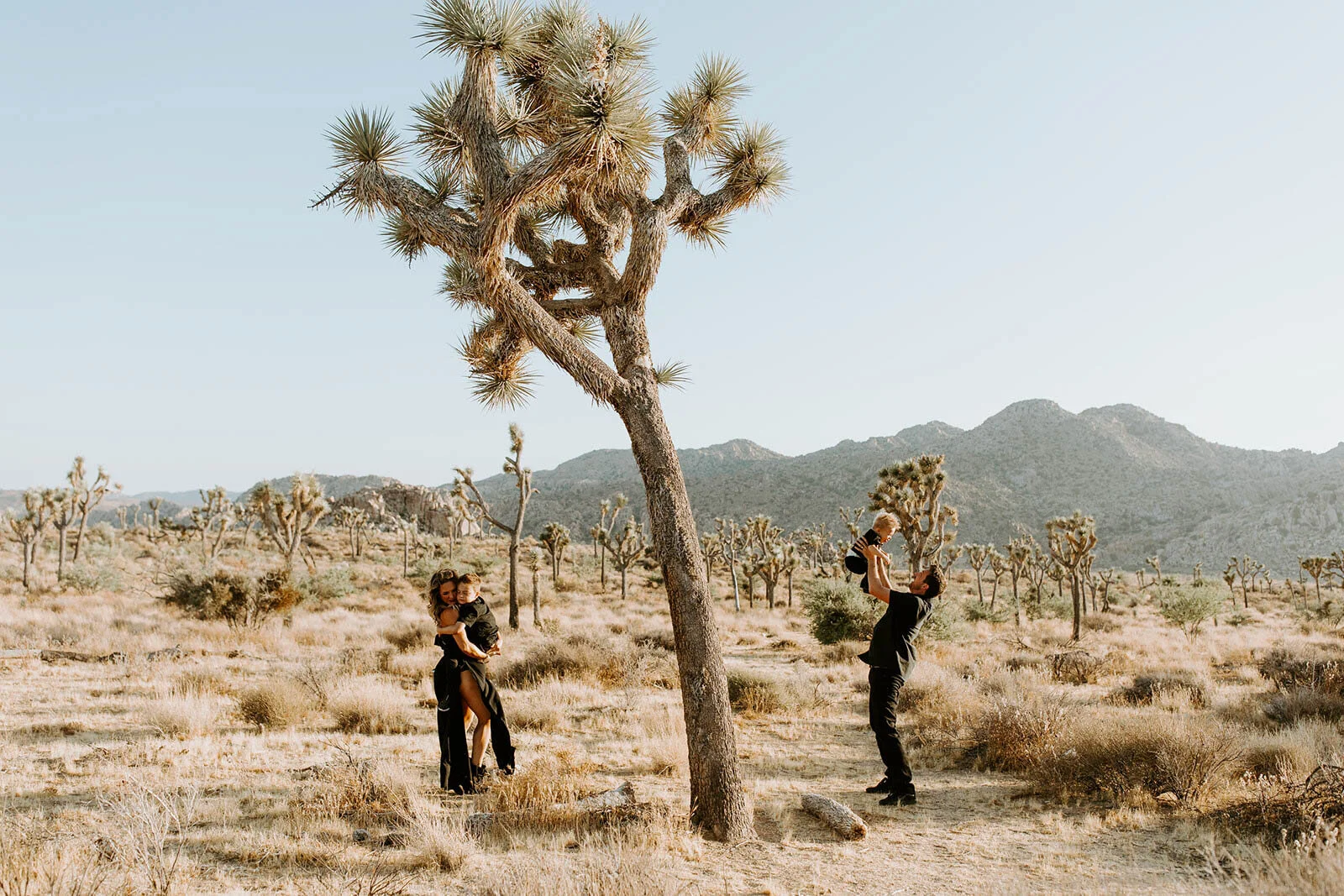 joshua-tree-family-photos-2019-3329.jpg